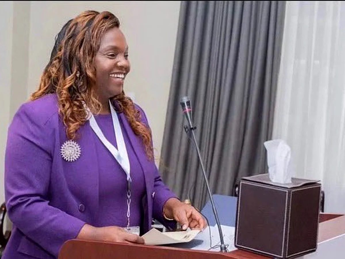 A facilitator speaking during a stakeholder consultative workshop